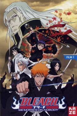 Bleach: Memories of Nobody